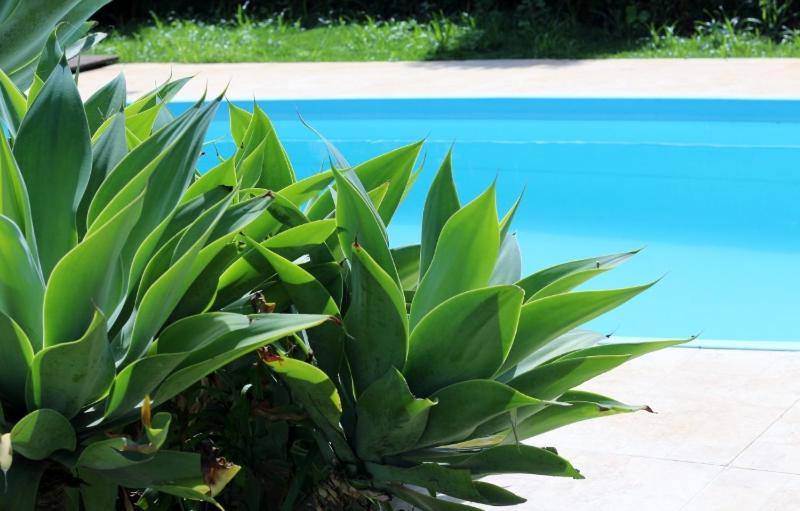  CASA DE CAMPO NA CIDADE DA SAÚDE