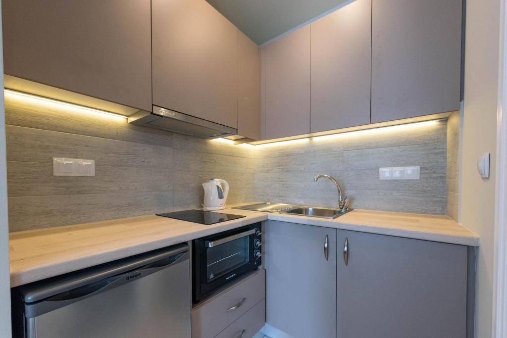 Kuchyň nebo kuchyňský kout v ubytování Theoxenia Hotel Apartments