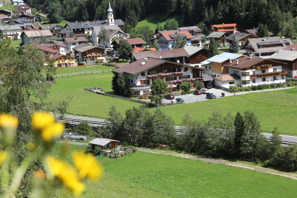 Příroda nedaleko hotelu