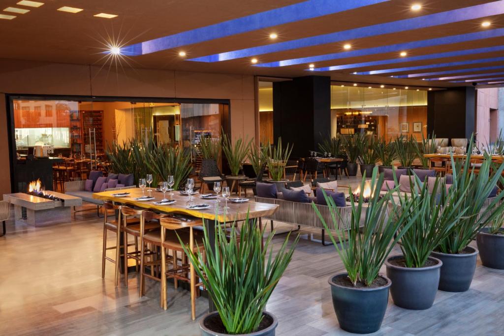 Restaurace v ubytování Hyatt Centric Campestre Leon