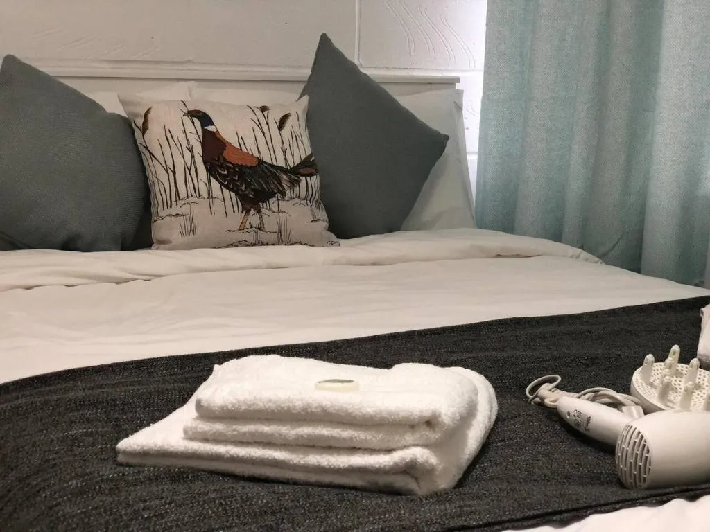 Spacious Flat in Euston/Kings Cross, Londra, Marea Britanie