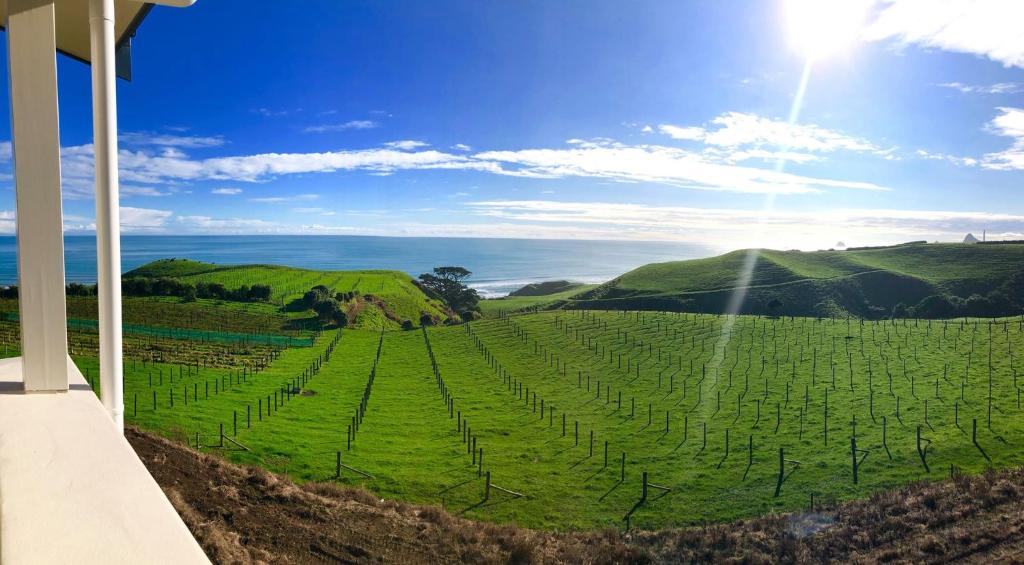 Chalets at Okurukuru - Resim 27