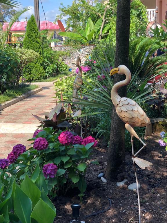 Zahrada ubytování Villa Gardenia Ureki