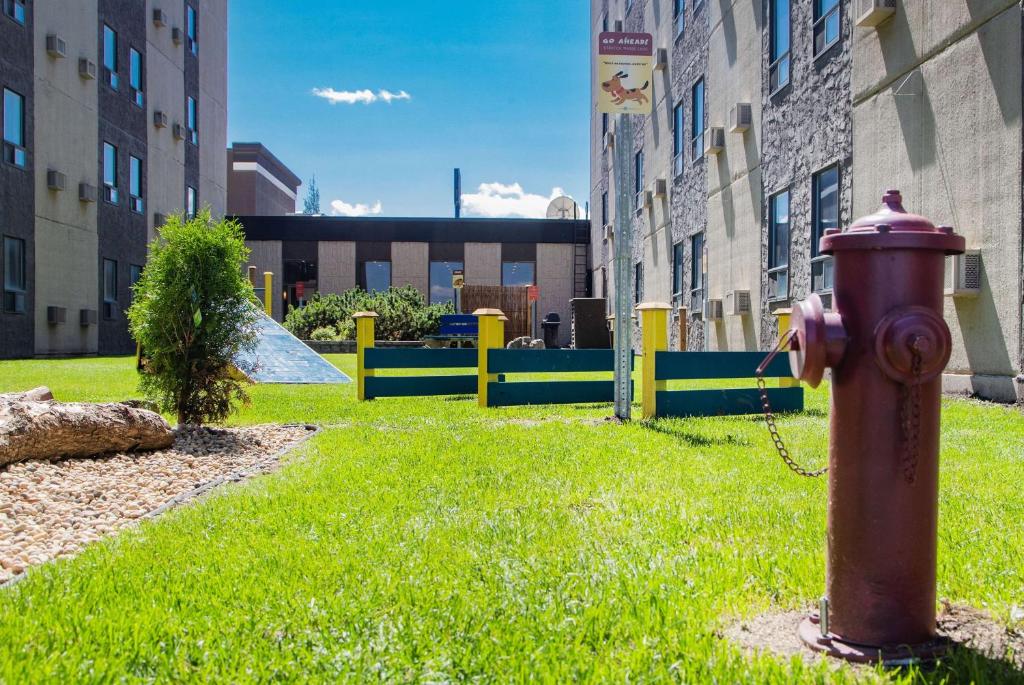 Travelodge by Wyndham Edmonton West - Resim 34