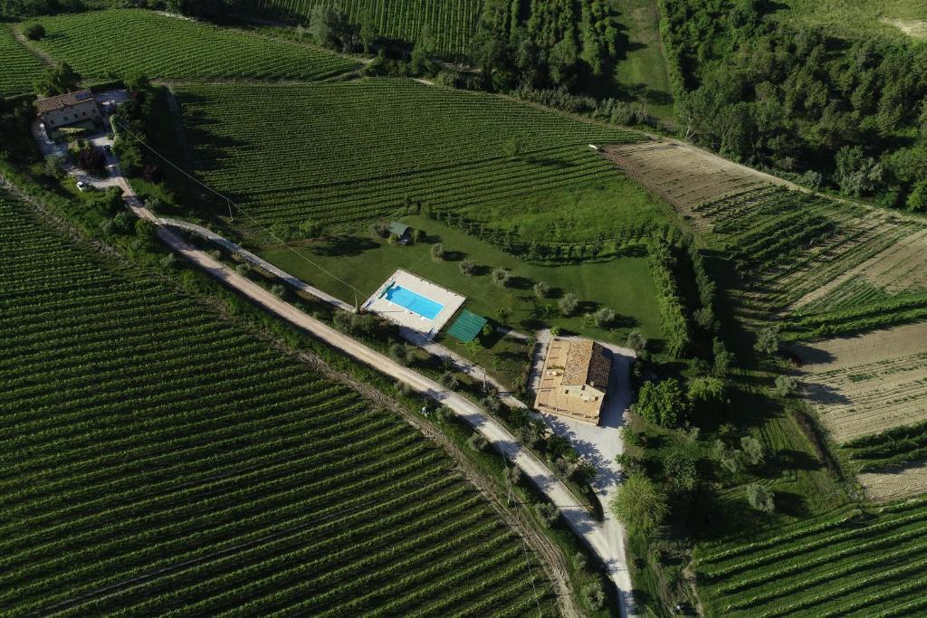 una vista aérea de un tren que atraviesa un viñedo en Agriturismo Biologico la Casa degli Gnomi, en Ortezzano