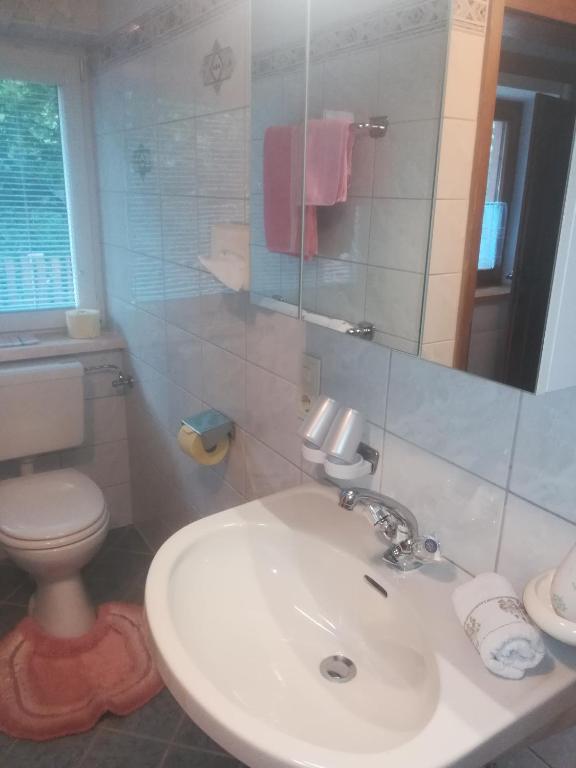 Koupelna v ubytování Waldrast