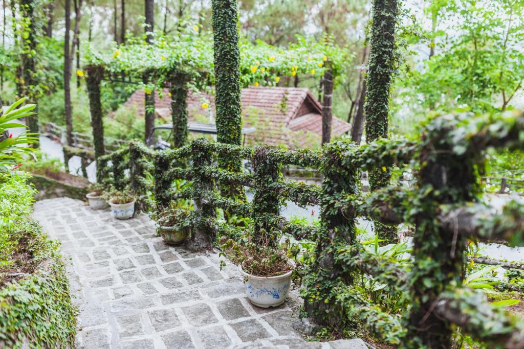 Bungalow Deluxe Nhìn Ra Sông