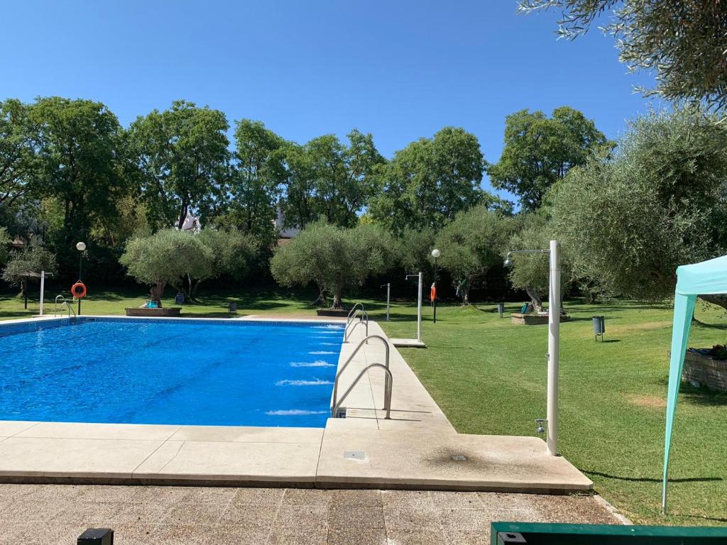 an empty swimming pool in a park with trees at El Balcón de Sevilla in Seville