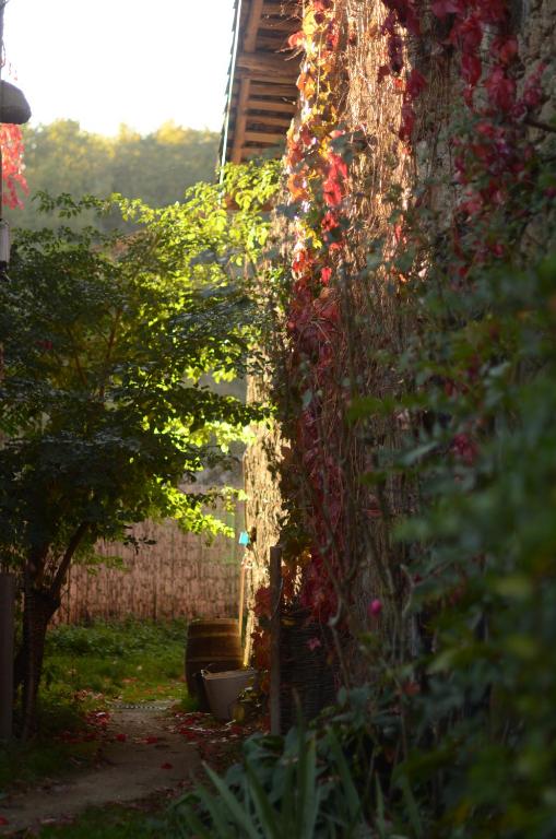 Zahrada ubytování Torre Tanquián Eco Finca - Ribeira Sacra