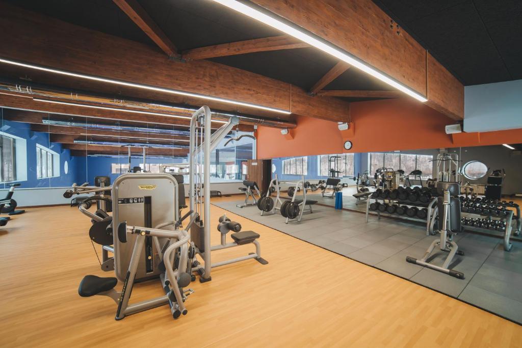 Fitness centrum a/nebo fitness zařízení v ubytování Hotel Irys by Derenivska Kupil