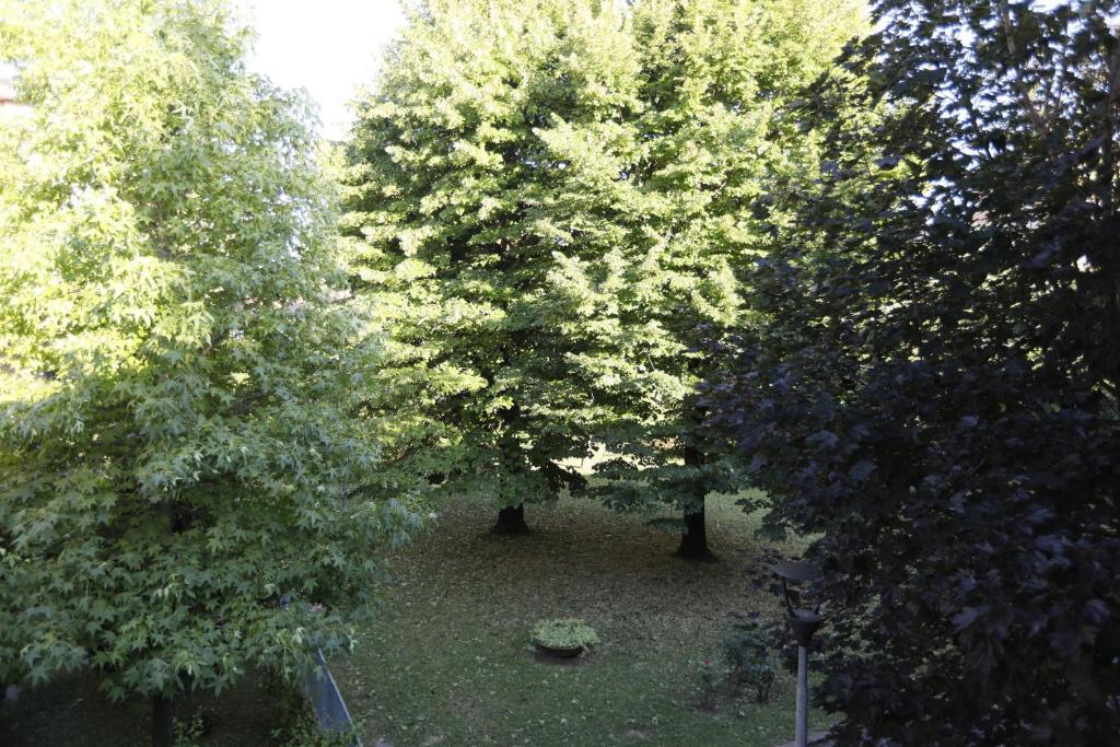 Zahrada ubytování Pisacane61 B&B
