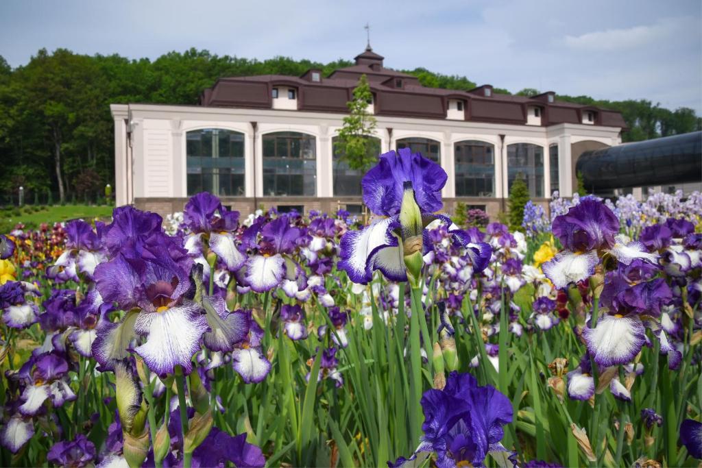 Zahrada ubytování Hotel Irys by Derenivska Kupil