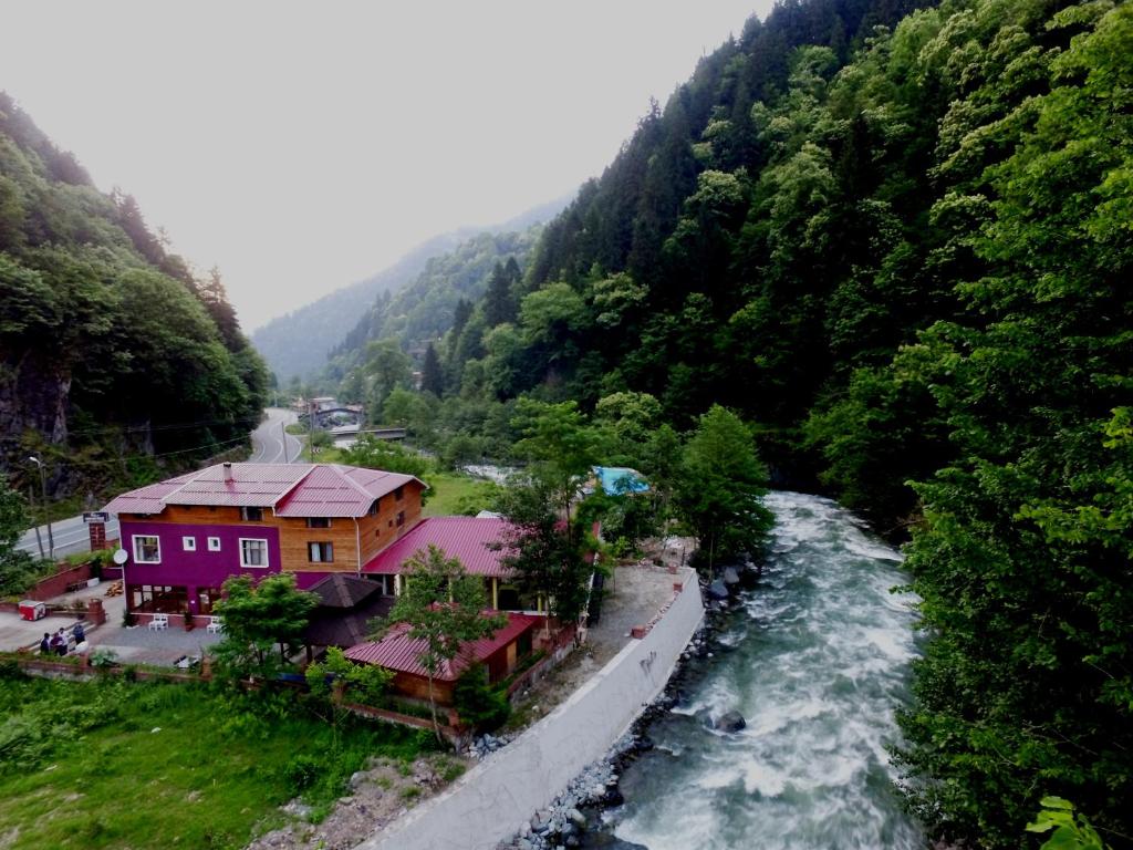 a house on the side of a river with trees at Mjora Butik Otel in Çamlıhemşin