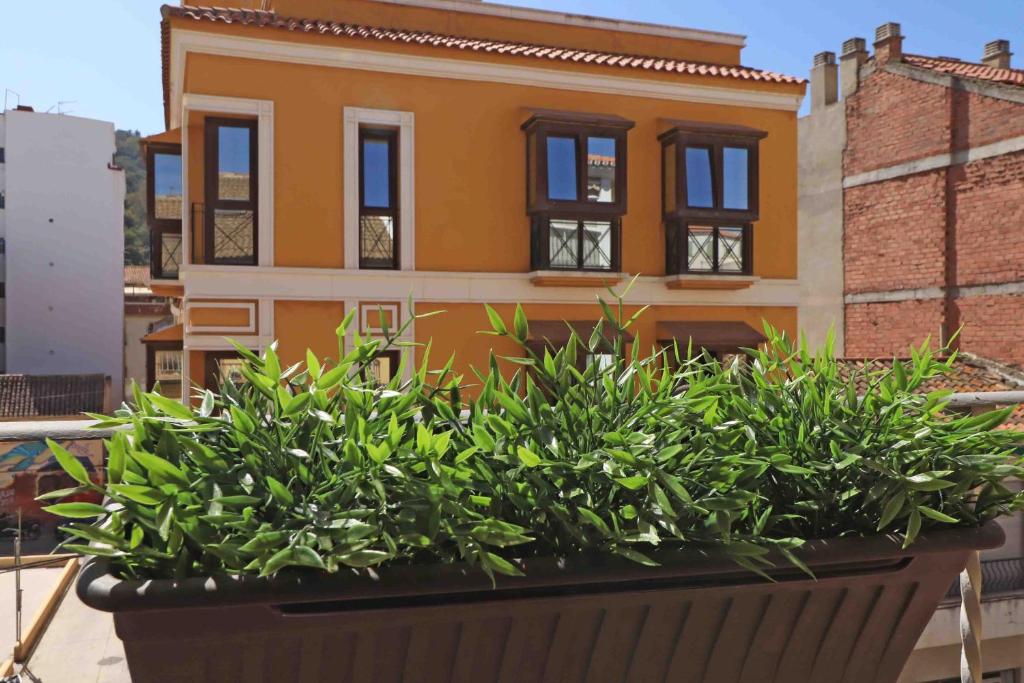 Zahrada ubytování Del parque flats estudio lagunillas