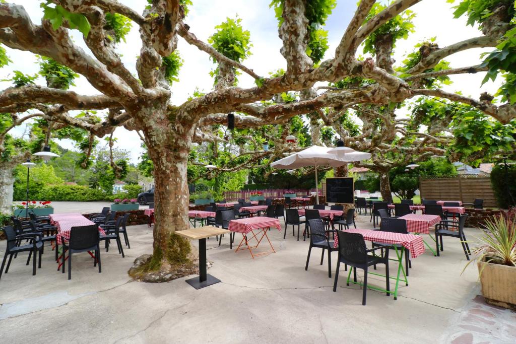 een patio met tafels en stoelen onder een boom bij L'Auberge de Lugos in Lugos