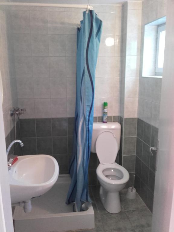 łazienka z toaletą i umywalką w obiekcie Sarkantyú Apartman w Mezőkövesd