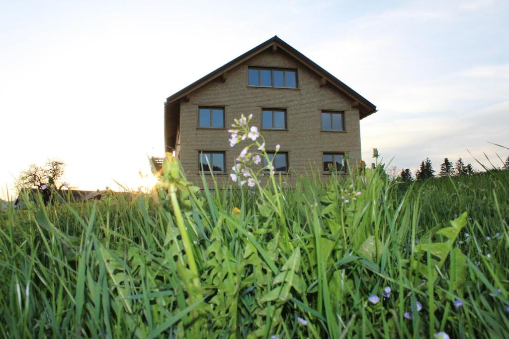 Zahrada ubytování Hus Bündt