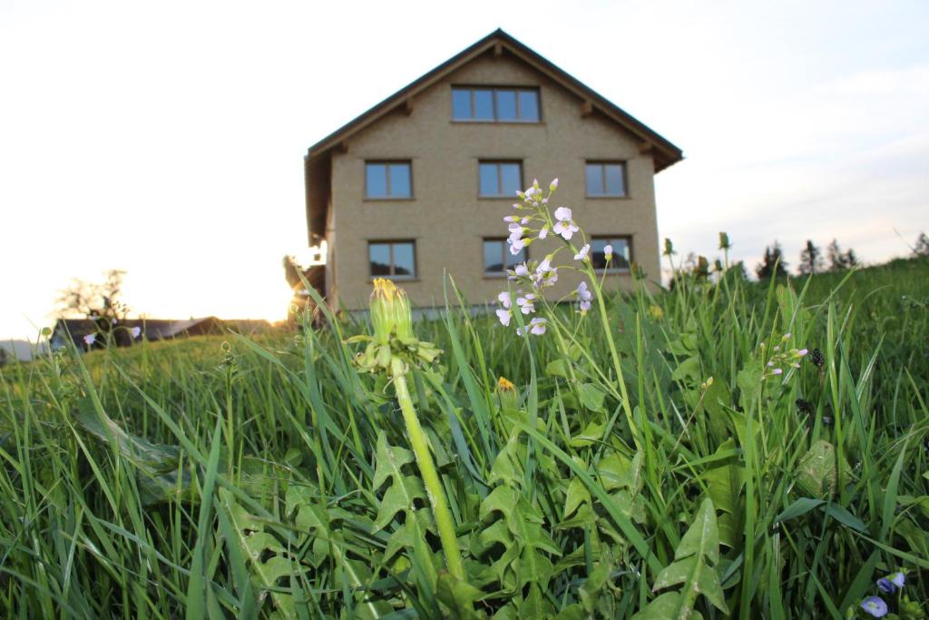 Zahrada ubytování Hus Bündt