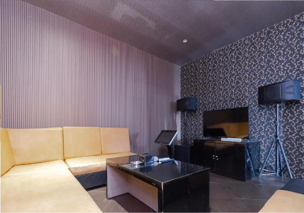 TV a/nebo společenská místnost v ubytování Hotel Domino