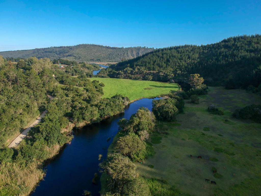 an aerial view of a river with trees and a field at Eastbrook River Lodge in Sedgefield
