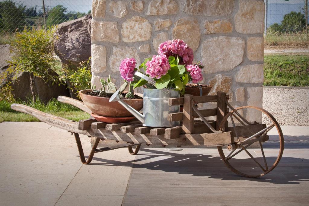Zahrada ubytování B&B I Tre Olivi