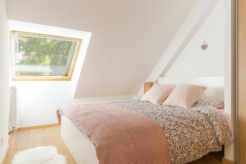 une chambre avec un lit et une fenêtre dans l'établissement Appartement de standing 8 Personnes centre historique de Colmar, à Colmar