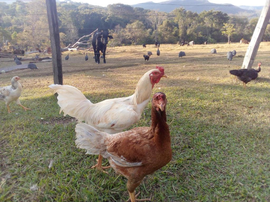  Pouso Divino dos Pireneus