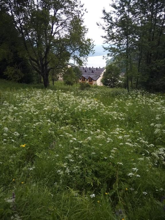 Příroda nedaleko apartmánu