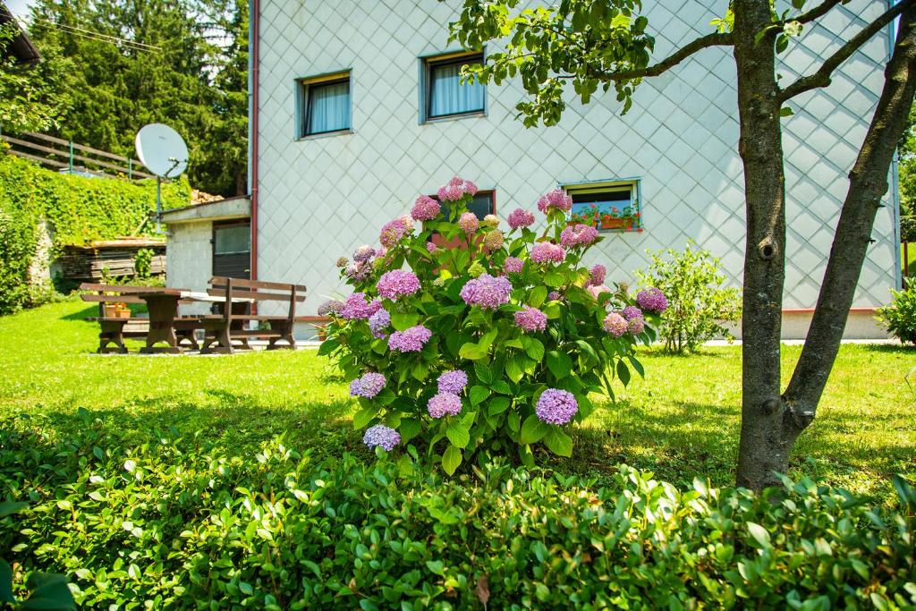 Zahrada ubytování Apartman Japlenški
