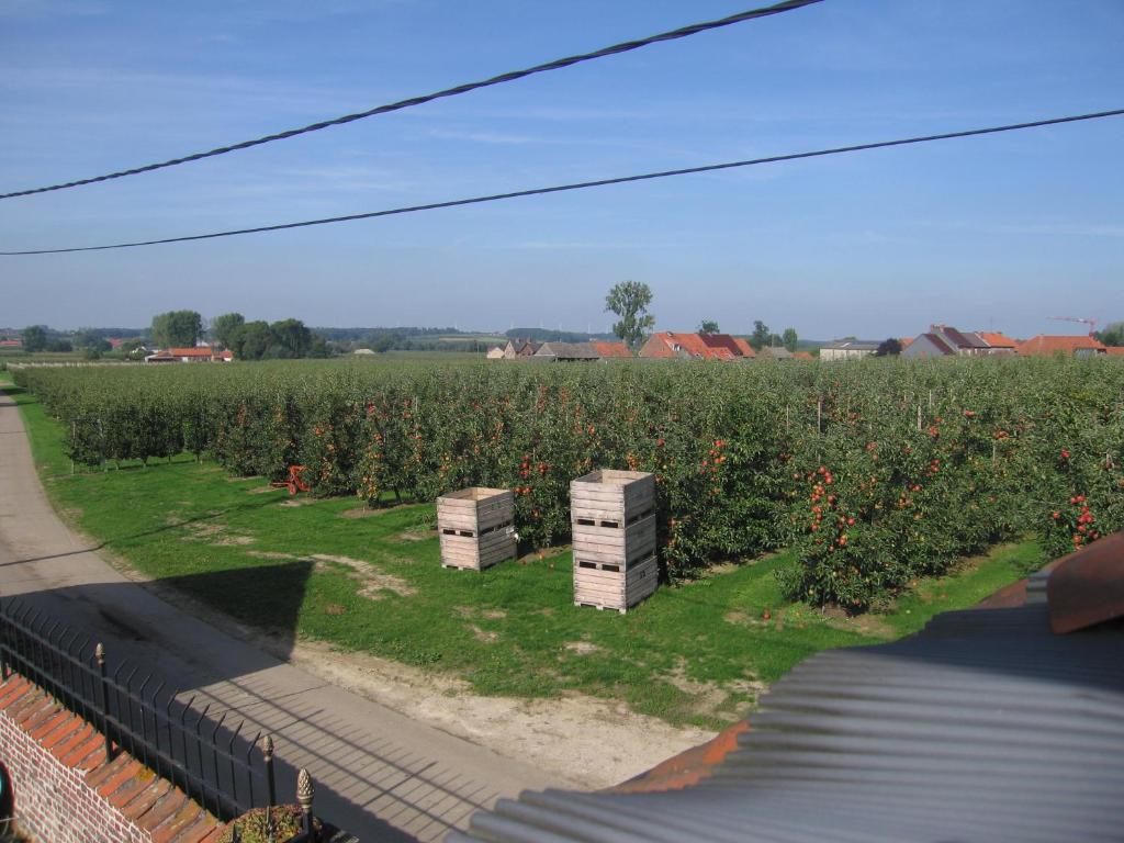 Příroda nedaleko bed and breakfast