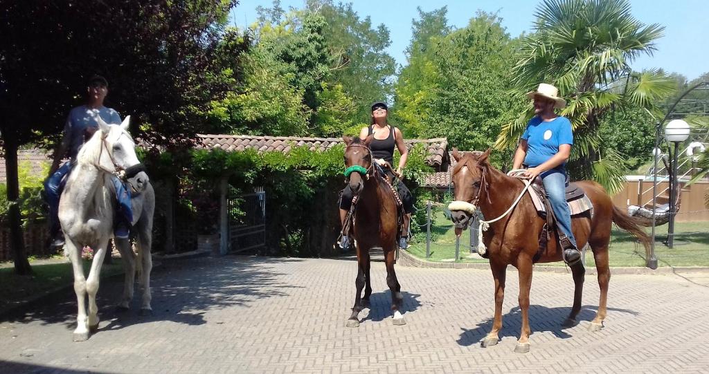 Zwierzęta w obiekcie B&B lub w pobliżu