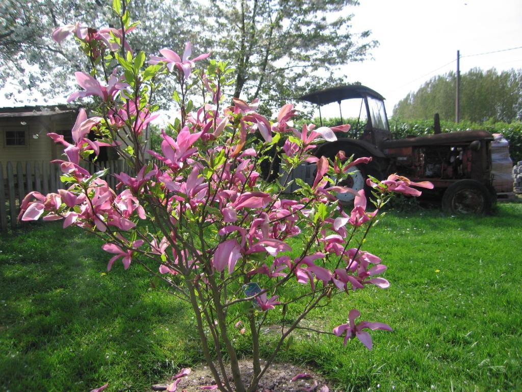 Zahrada ubytování B&B Hoeve Ransberg