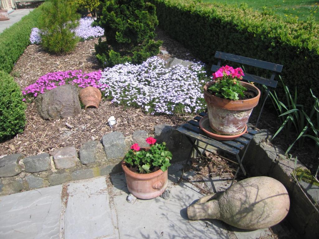 Zahrada ubytování B&B Hoeve Ransberg