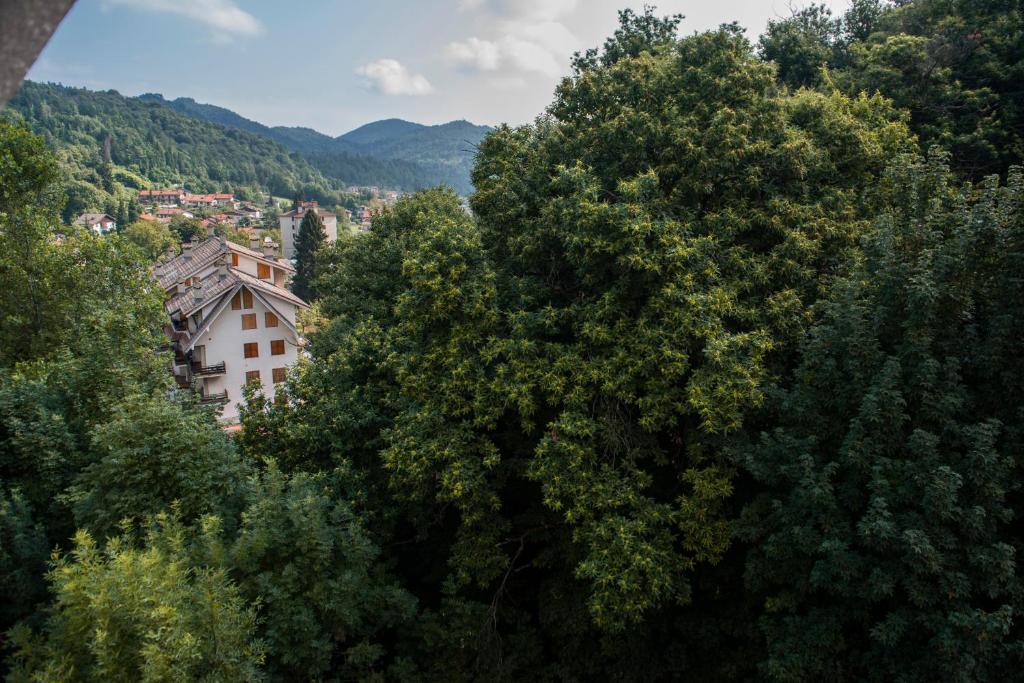 Příroda nedaleko apartmánu