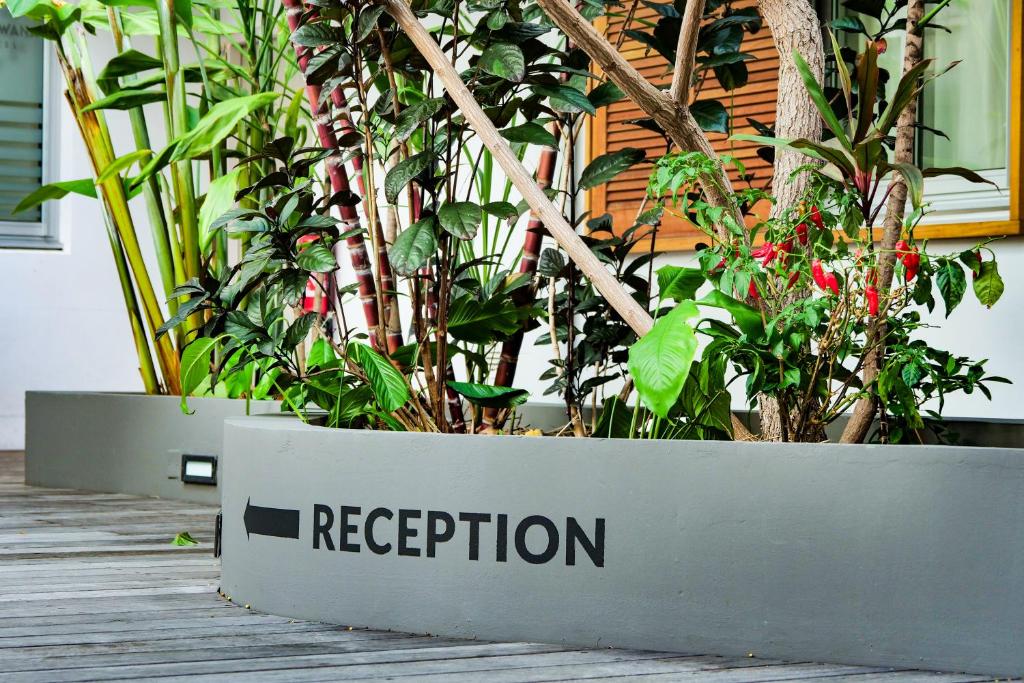 Fotografie z fotogalerie ubytování Gondwana City Green v destinaci Nouméa