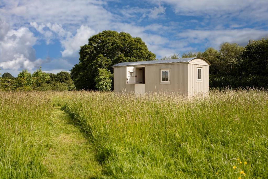 ein kleiner Schuppen auf einem Feld mit hoher Wiese in der Unterkunft Romantic secluded Shepherd Hut Hares Rest in Southwick