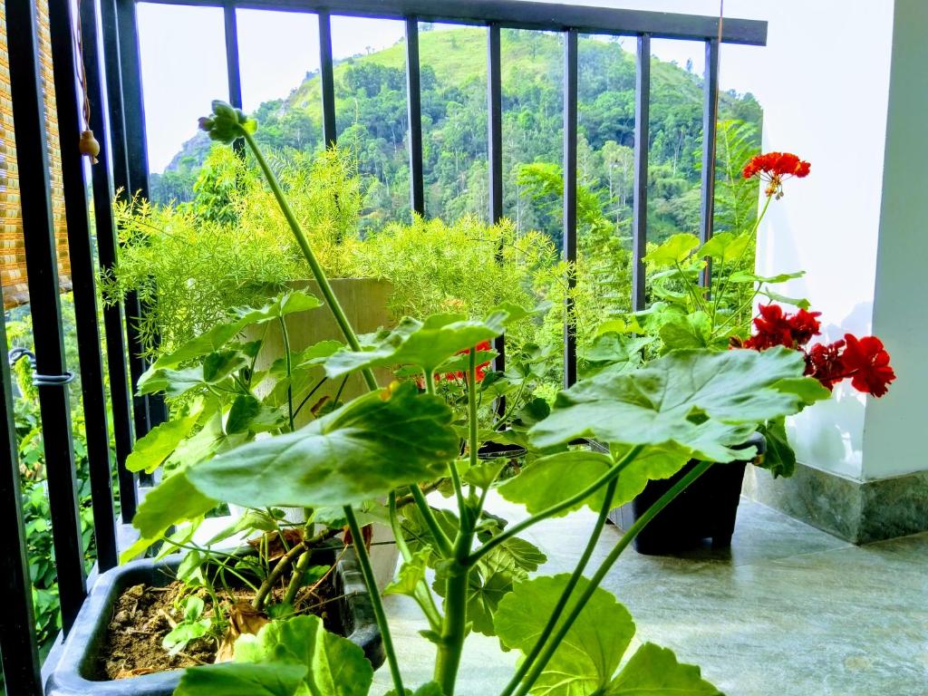 Ever Green Mount - 18