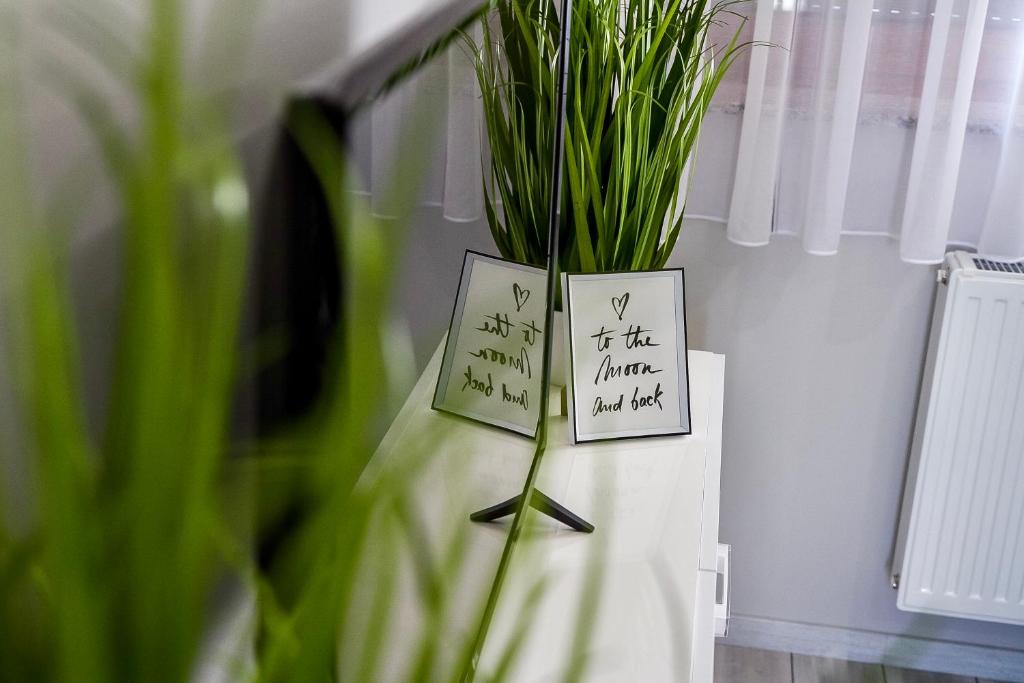 Fotografia z galérie ubytovania Grey Suites Pécs v destinácii Pécs