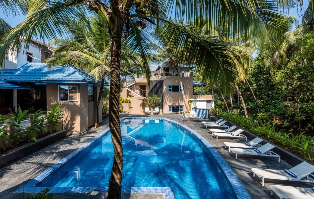 a swimming pool with lounge chairs and a palm tree at Casa Vagator in Vagator