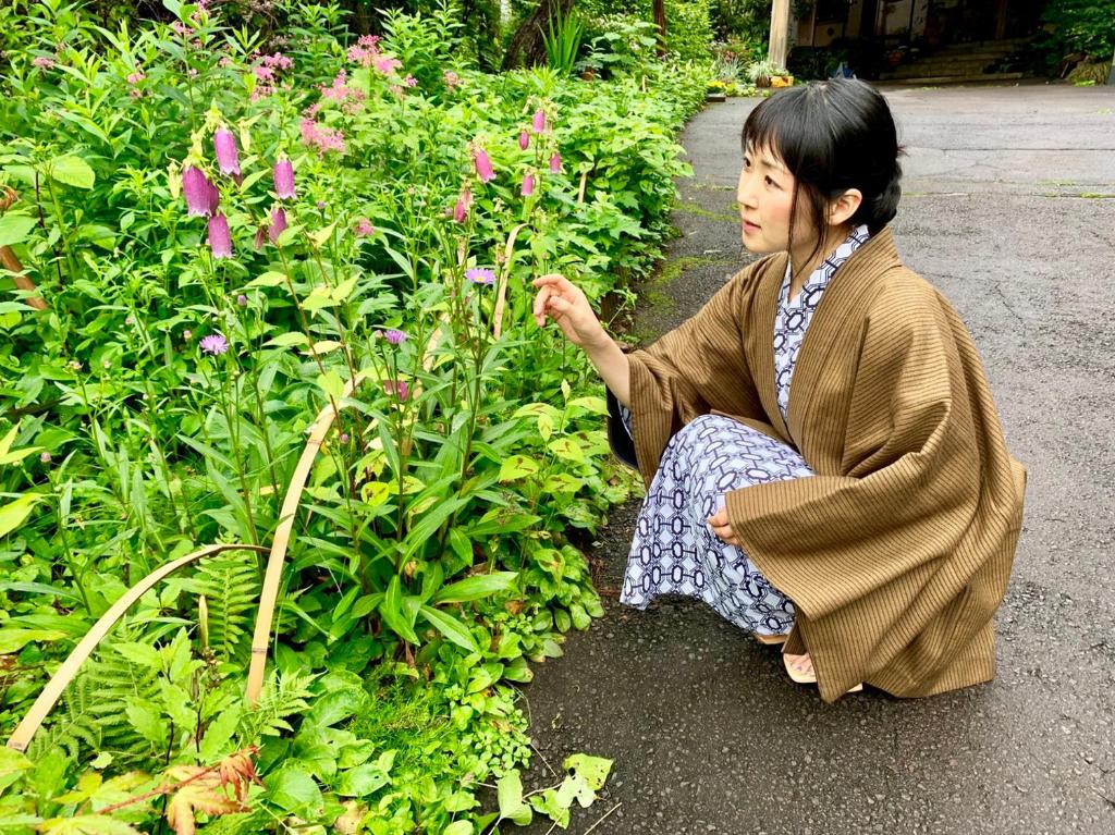 Hosté ubytování Kirishimaya Ryokan