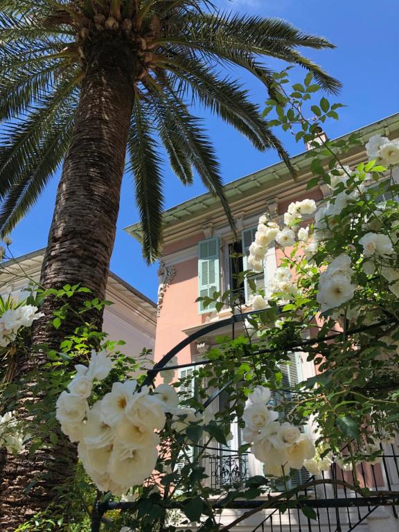 Hotel Villa Rose - Resim 22