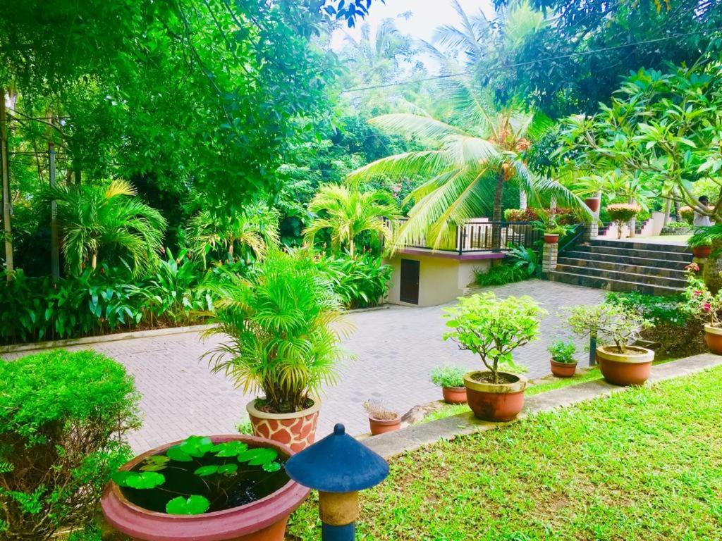 Goyambokka Guesthouse - 18