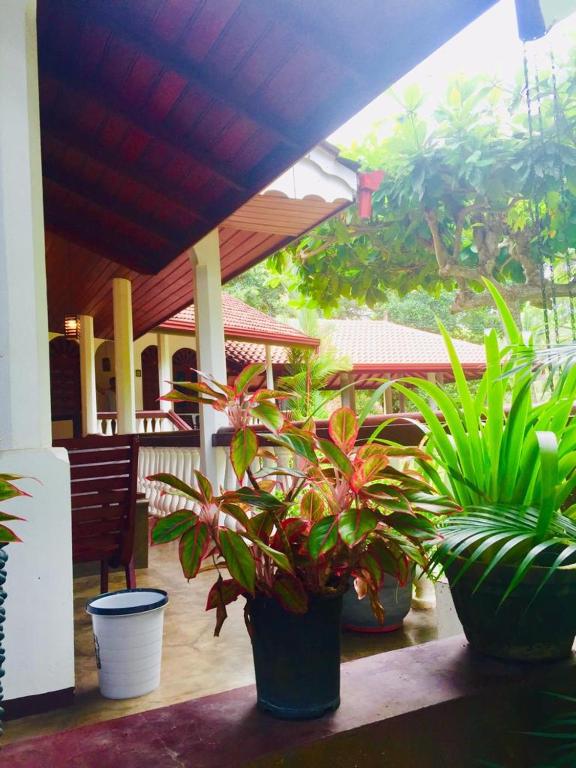 Goyambokka Guesthouse - 14