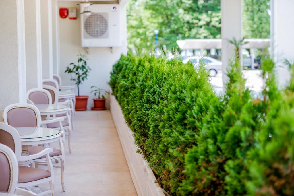 Hotel Sulina International - Resim 26