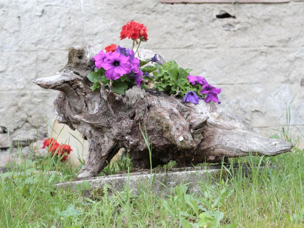 Zahrada ubytování Ferienwohnungen Giedensbach