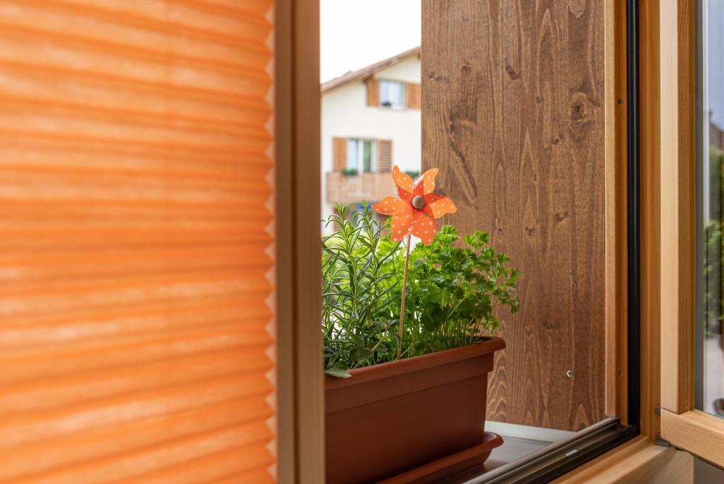Fotografie z fotogalerie ubytování Fiechtehüsli (tiny house) v destinaci Huttwil