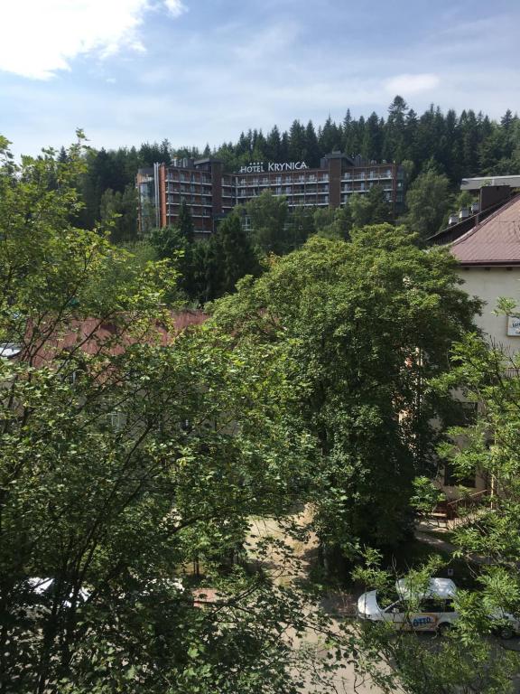 - une vue depuis le toit d'un bâtiment avec des arbres dans l'établissement APARTHOTEL KRYNICA, à Krynica-Zdrój