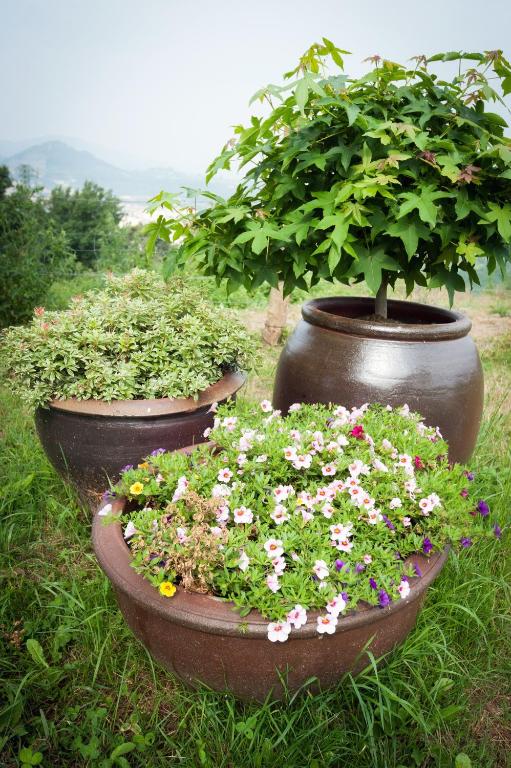 Zahrada ubytování Agroturismo Artola