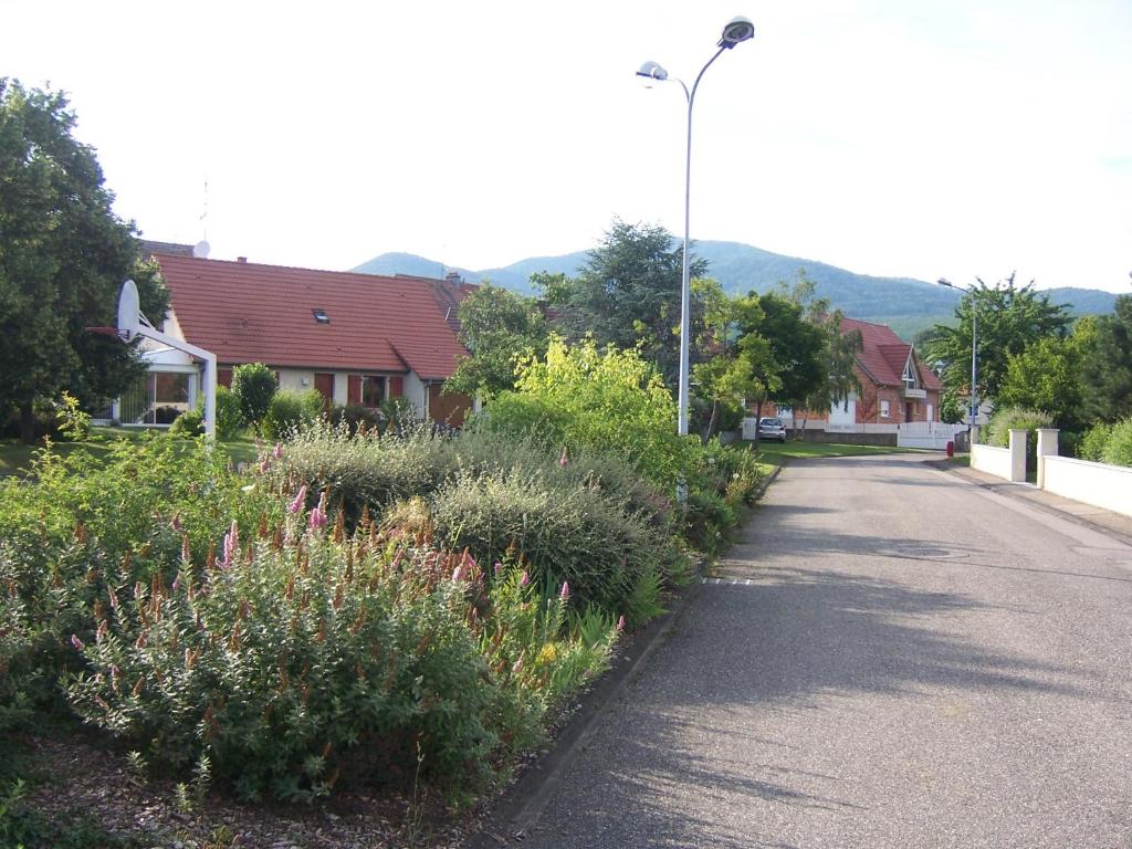Příroda nedaleko apartmánu