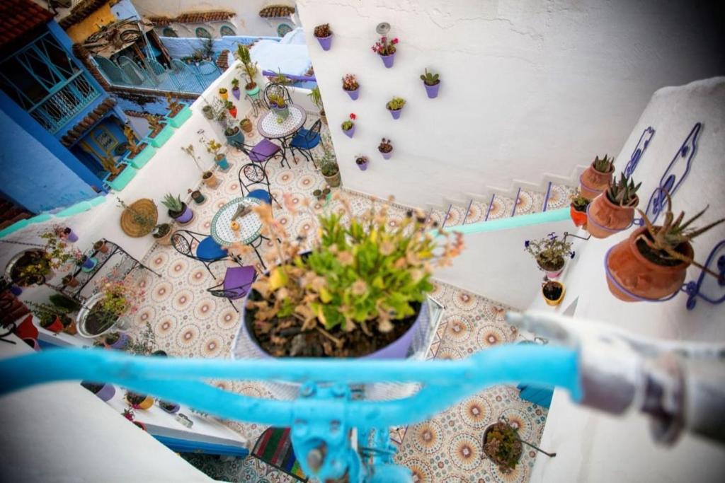 Fotografie z fotogalerie ubytování Afra House v destinaci Šafšawán